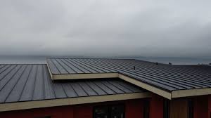 Best Roof Leak Repair  in Moyie Springs, ID